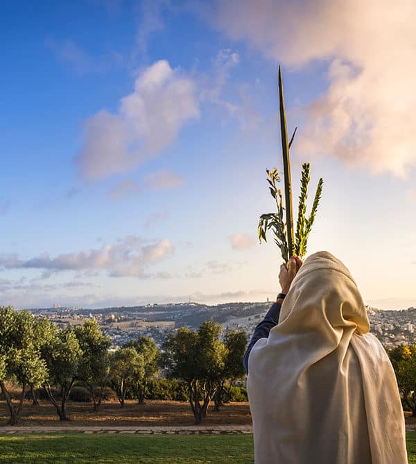 Sukkot in Israel: Celebration of Freedom and Blessing