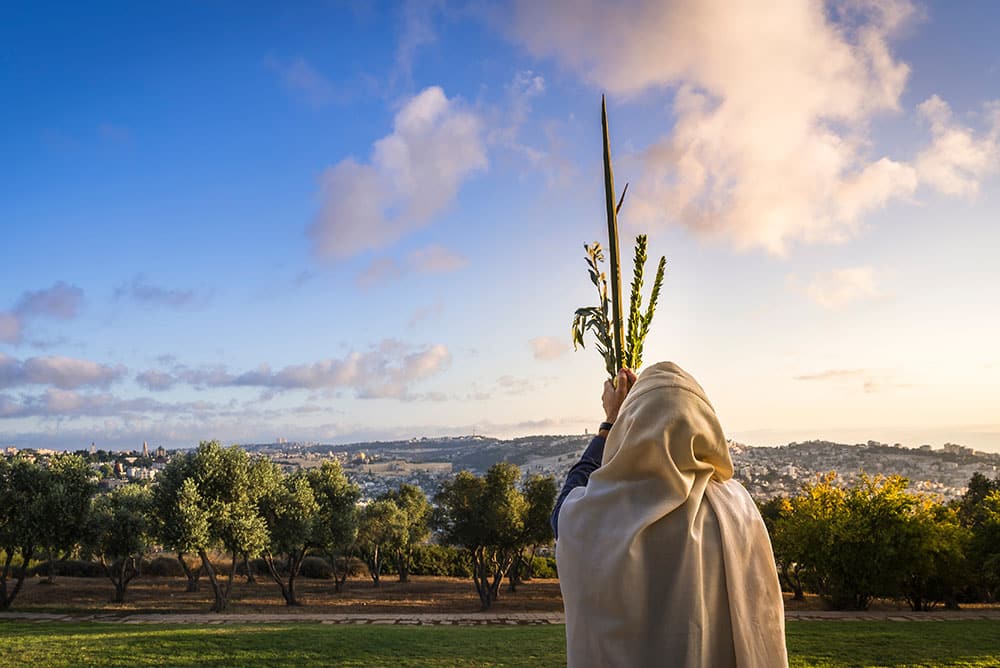 Sukkot in Israel: Celebration of Freedom and Blessing